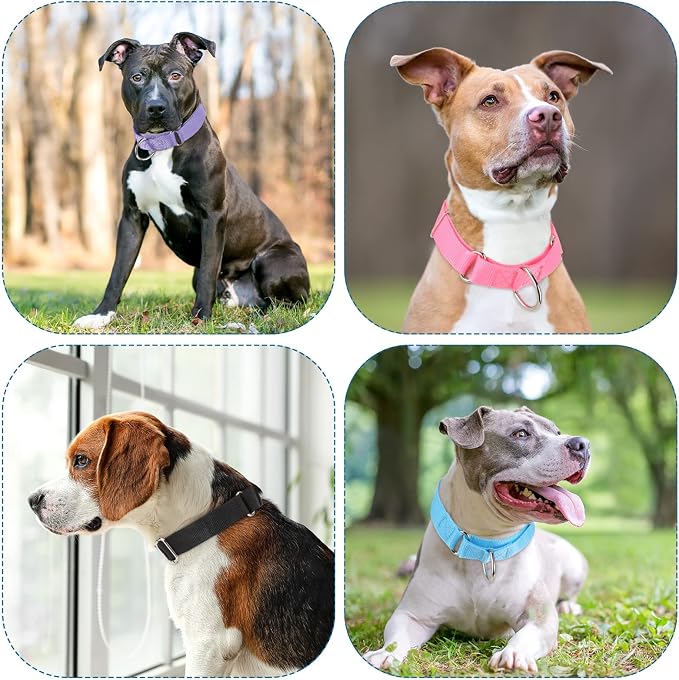 Cunno 12 Pcs Martingale Collar for Medium Dogs Reflective Dog Collar - Image 7