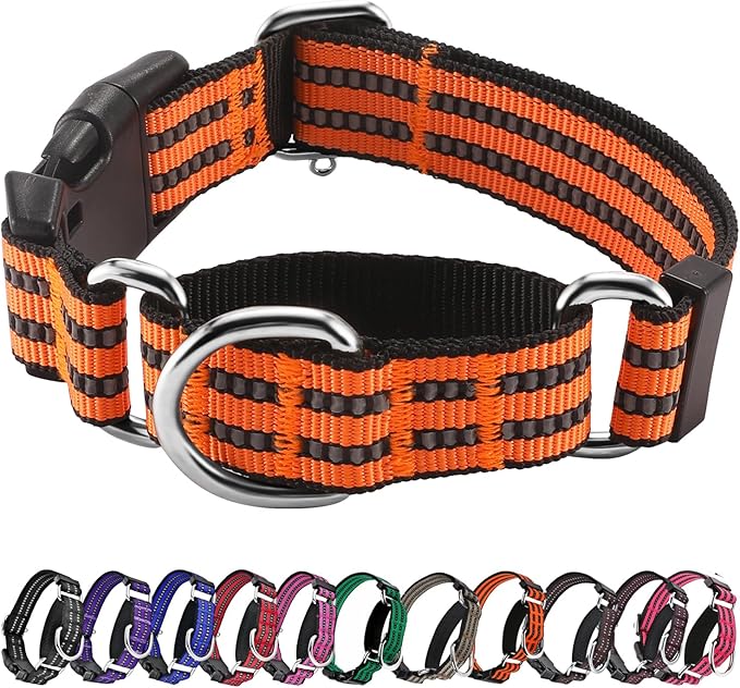 Hikiko Martingale Dog Collars Reflective Nylon Dog Collar by Hikiko