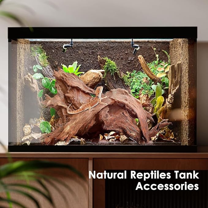 Jorewood Natural Large Aquarium Driftwood - Image 6