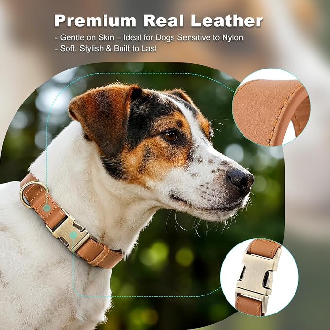 Plutus Pet Genuine Leather Dog Collar – Adjustable Pet Collar - Image 3