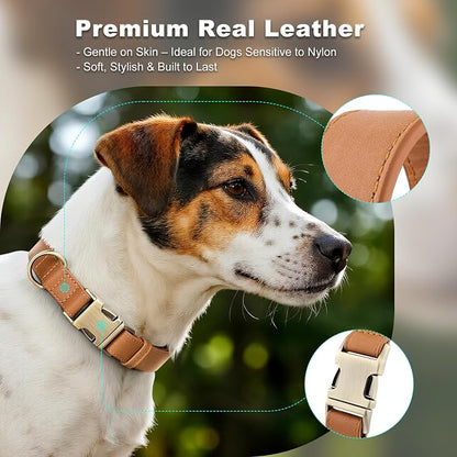 Plutus Pet Genuine Leather Dog Collar – Adjustable Pet Collar - Image 3
