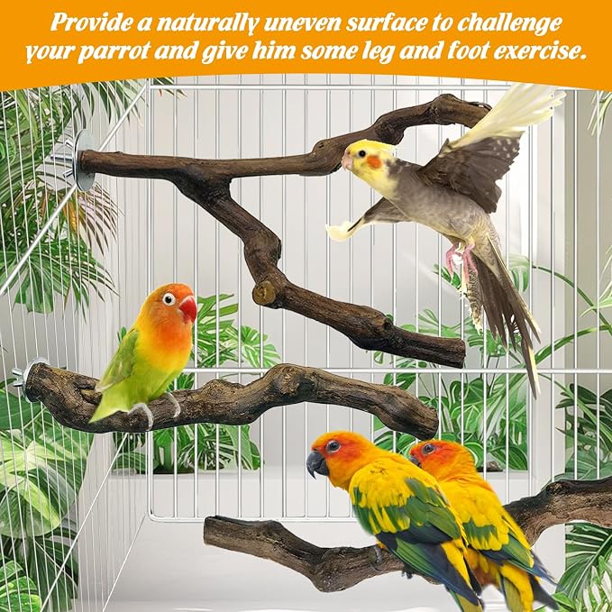 kathson 5pcs Natural Parrot Perch - Image 6