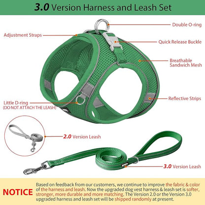 AIITLE Step in Dog Harness and Leash Set - Image 4
