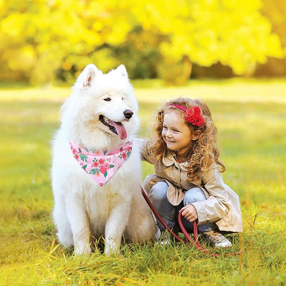 PAWCHIE Spring Dog Bandanas Small Reversible Styles Pet Triangle Scarf Bibs - Image 2