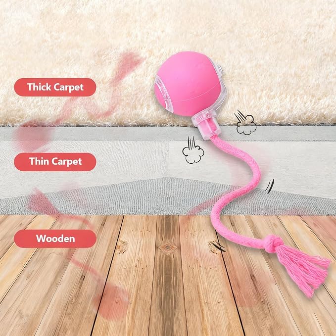 FUNNYDUCK Speed 2.0 Tail Interactive Cat Toy – Motion-Activated Rolling Ball - Image 8