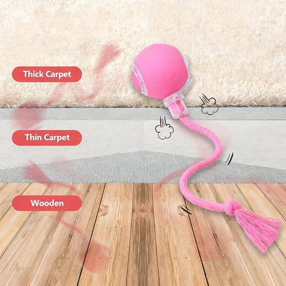 FUNNYDUCK Speed 2.0 Tail Interactive Cat Toy – Motion-Activated Rolling Ball - Image 8