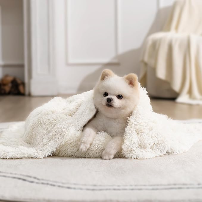 gogobunny Waterproof Dog Blanket by gogobunny