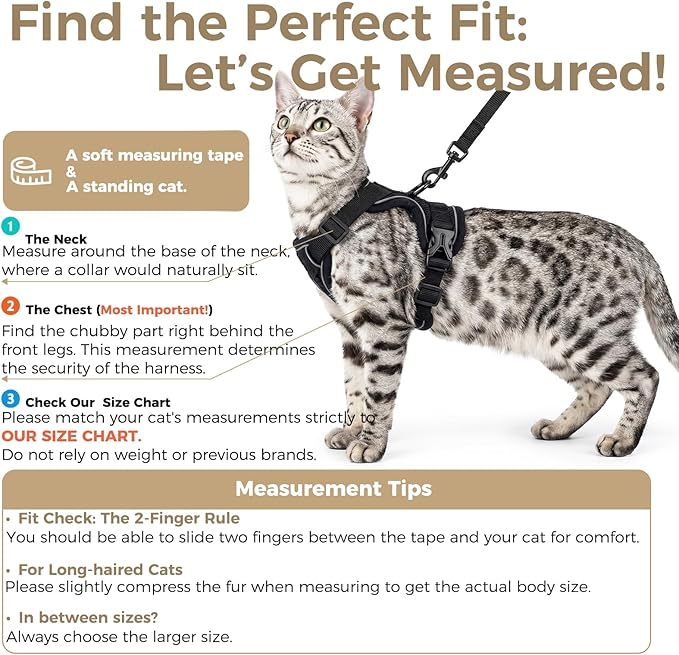 Cat Harness and Leash Set Escape Proof Tactical Extra Large Kitten Harness - Image 2