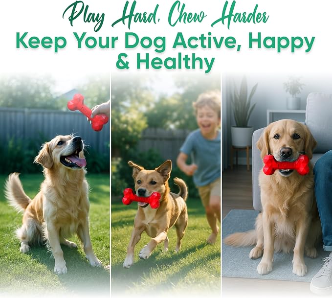 Natural Rubber Dog Chew Bone – Treat-Dispensing, Tough & Indestructible Chew - Image 7