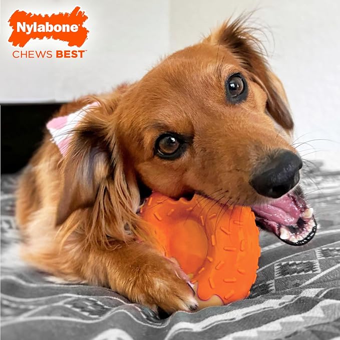Nylabone Limited Edition 70th Birthday Donut Power Chew Toy - Image 2
