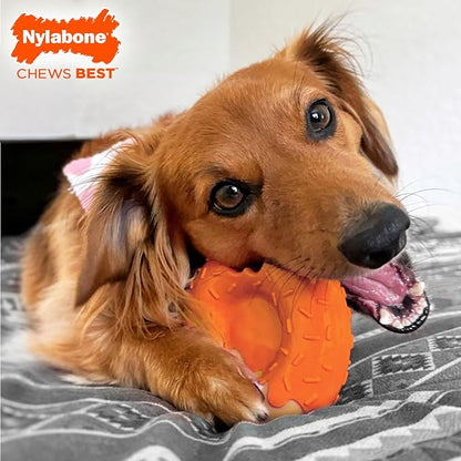 Nylabone Limited Edition 70th Birthday Donut Power Chew Toy - Image 2