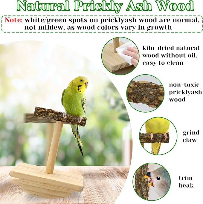 Natural Wood Bird Perch Stand Training, Intelligence Puzzle Enrichment Toys - Image 3