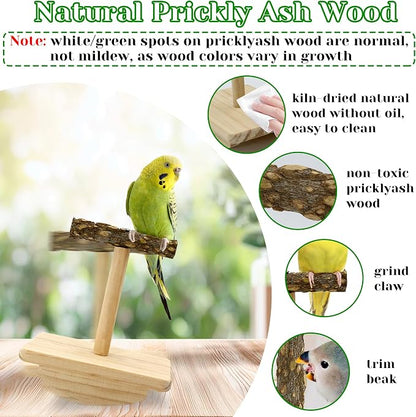 Natural Wood Bird Perch Stand Training, Intelligence Puzzle Enrichment Toys - Image 3