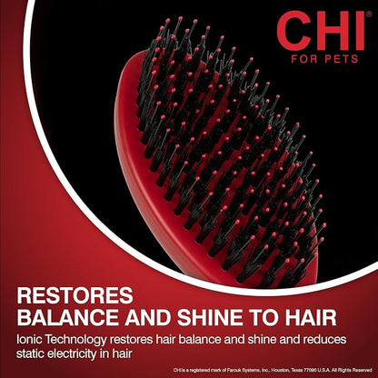 CHI Dog Brush for, Porcupine Brush - Image 4