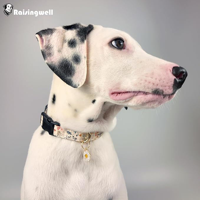 Cute Dog Collar Beige Flower Pattern - Image 5