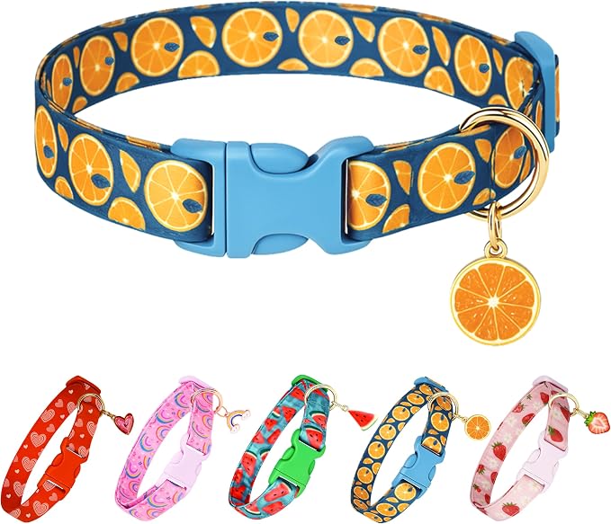 Cute Dog Collar Fruit Orange Pattern by Raisingwell