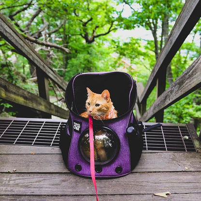 Fat Cat Backpack Carrier - Image 6