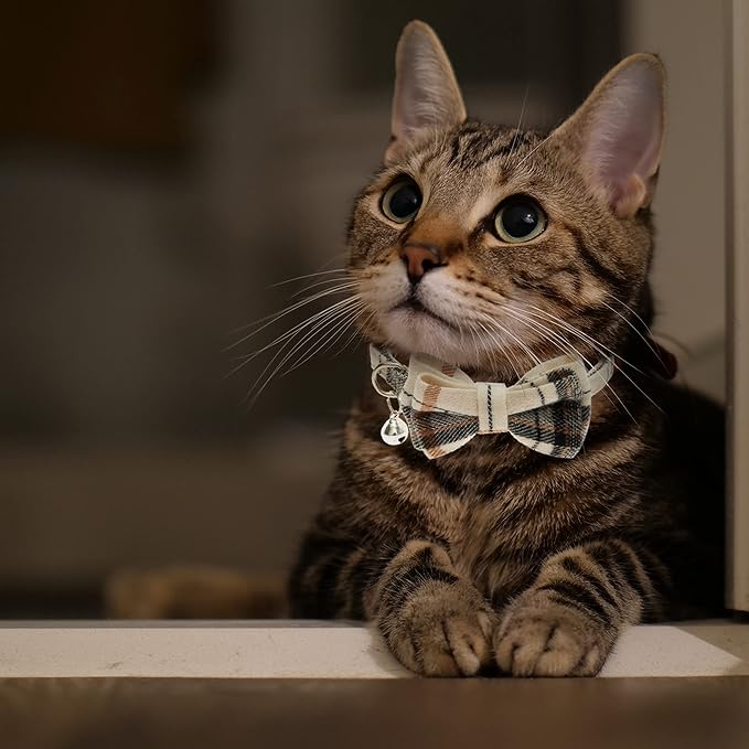 Breakaway Cat Collars - Image 5