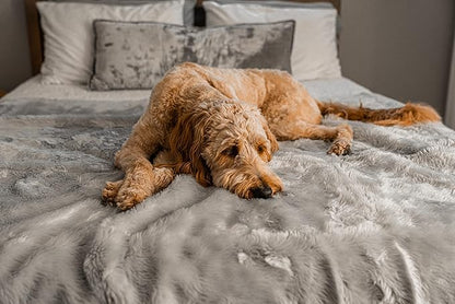 PupProtector Waterproof Throw Blanket - Image 3