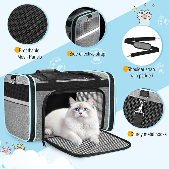 HUANLANG Soft-Sided Cat Carrier Airline Approved, Dog Carriers - Image 3