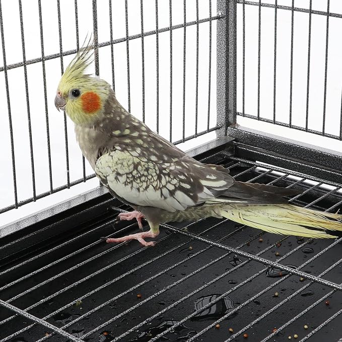 Topeakmart Wrought Iron Large Flight Parrot Bird Cage - Image 5