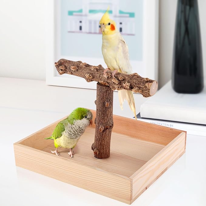 Bird Perch, Portable Tabletop Bird Stand, Training Play T Shaped Stand - Image 7