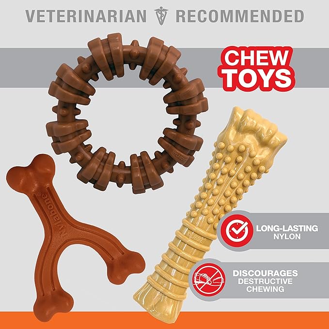 Nylabone Customer Favorites Power Chew Toy Bundle - Image 3