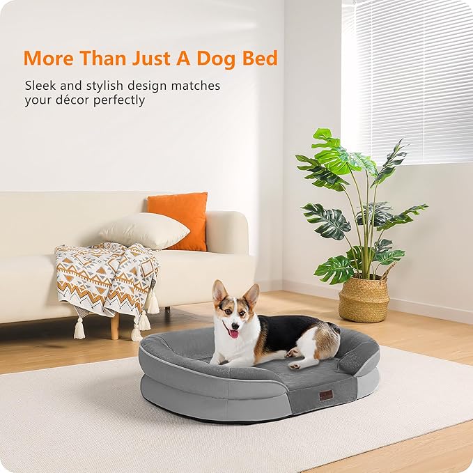 Dwanton Orthopedic Dog Bed for Medium Dogs - Image 2