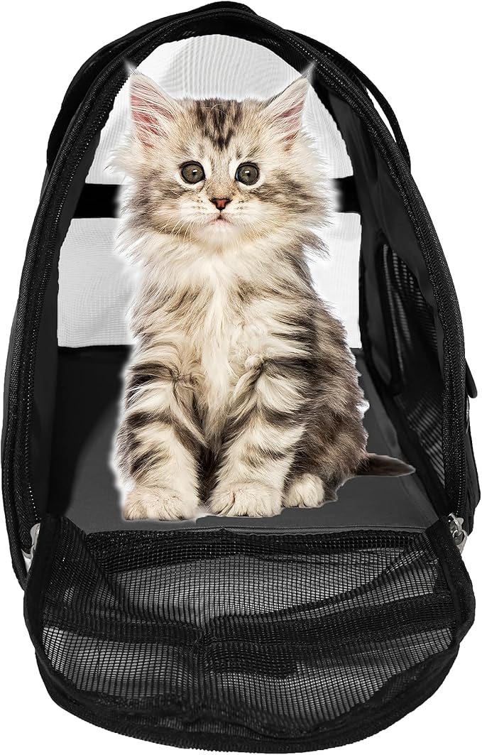 Pet Carrier Soft-Sided Carriers - Image 2