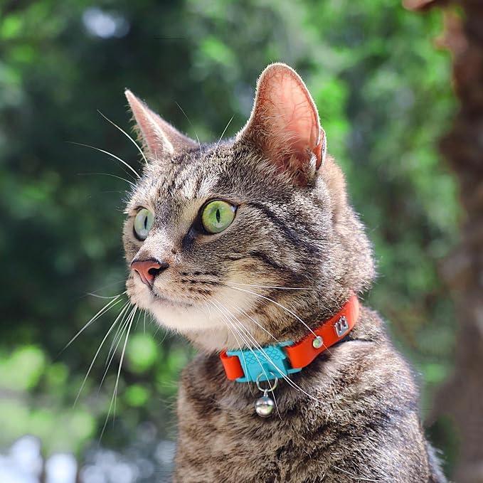 New Kittyrama Cat Collar with Bell. As Seen in Vogue. Breakaway, Quick Release - Image 4