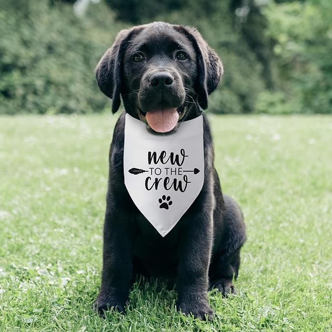 New to The Crew Dog Bandana New Puppy Announcement Gift - Image 6