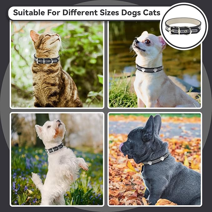 PETCARE Reflective Dog Collar - Image 3