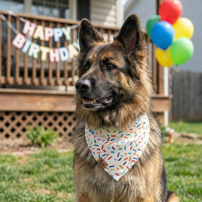 Birthday Dog Bandanas Extra Large, Reversible Colorful Confetti Sprinkles - Image 6
