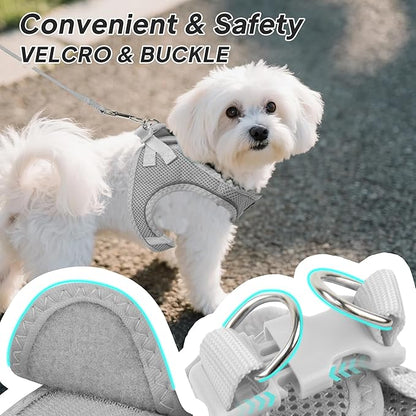 PetiFine Step in Small Dog Harness and Leash Set, Breathable All Weather Air - Image 3