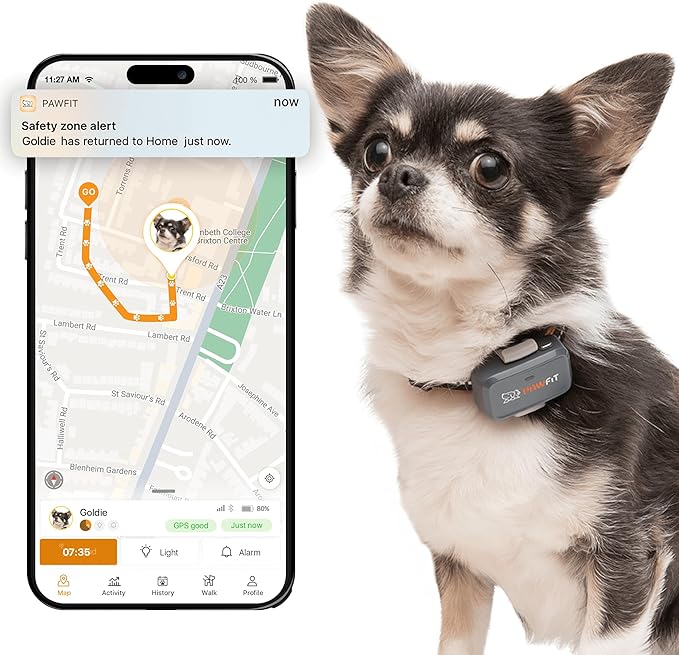 Pawfit Lite for Small Dogs 4g GPS Tracker | Real Time Tracking | Activity by Pawfit