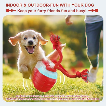Interactive Dog Toy, Motion Activated Rolling Squeaky Ball - Image 2