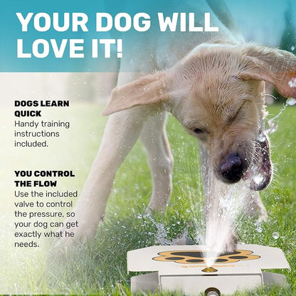 Scuddles Outdoor Dog Water Fountain – Step-On Dog Sprinkler Toy - Image 3