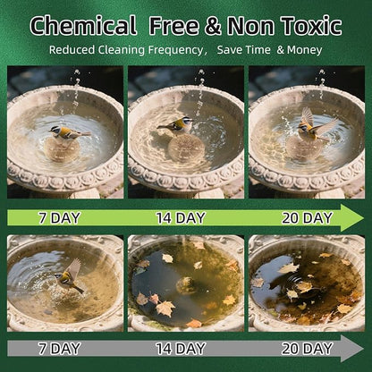 Bird Bath Copper Disk, Pure Copper Bird Bath Purification Disc, Save Cleaning - Image 5