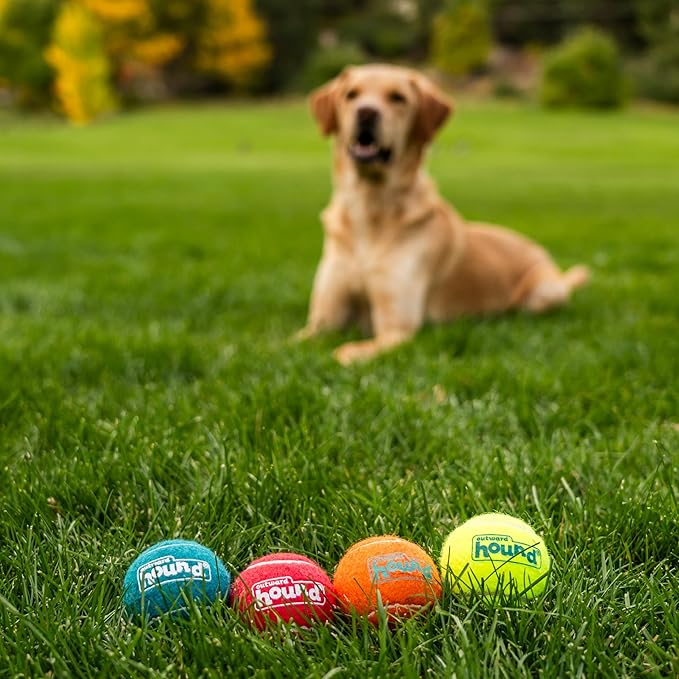 Outward Hound Squeaker Ballz – Squeaky Tennis Balls - Image 5