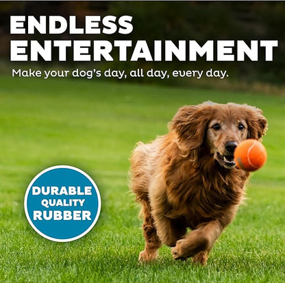 Outward Hound Squeaker Ballz – Squeaky Tennis Balls - Image 4