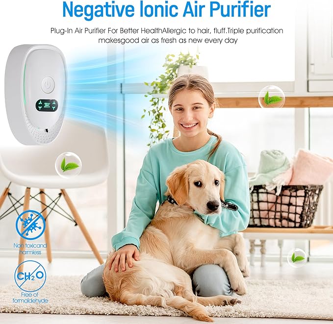 Air Ionizers for Home, Living Room Compact Freshener for Pet, and Kitchen Odor - Image 4