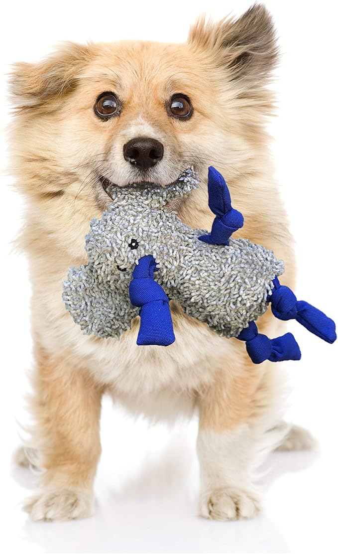 rocket & rex Dog Chew Toy Set for Small to Medium Breeds, Includes a Stuffing - Image 8