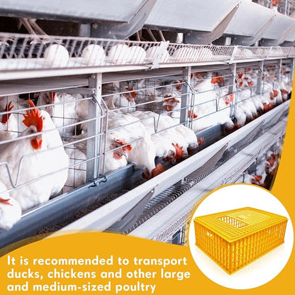 Sintuff Poultry Carrier Crate Plastic Chicken Transport Cage Bird Carriers - Image 6