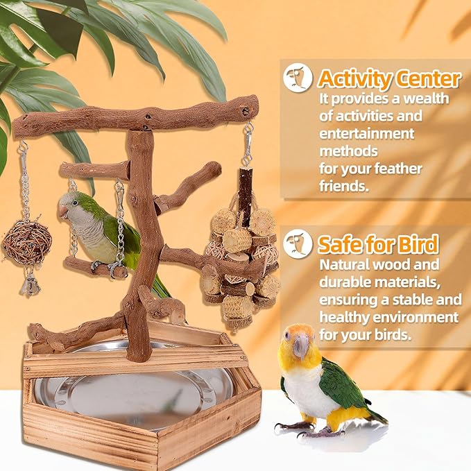 Natural Grape Wood Bird Parakeet Playground - Image 5