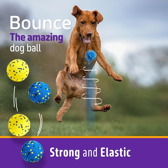 Dog Balls Tennis Ball Dog Toys for Aggressive Chewers, Floating Water Toy - Image 4