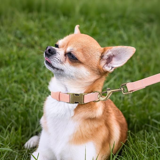 Didog Soft PU Leather Dog Collar, Stylish Quick Released Dog Collars - Image 3
