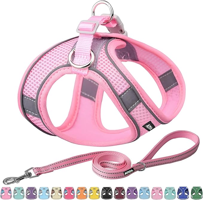 AIITLE Step in Dog Harness and Leash Set by AIITLE-FORPETSBETTERLIFE