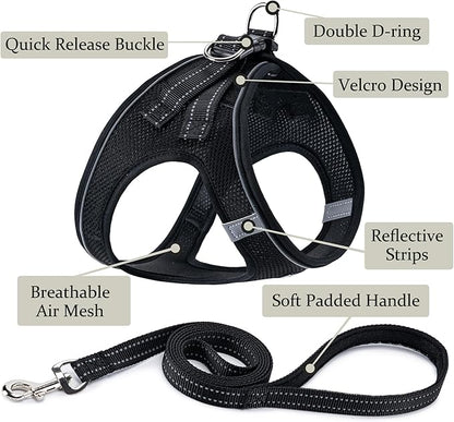 BOOMIBOO Dog Harness with Leash Set, No Pull Adjustable Reflective Step-in - Image 2