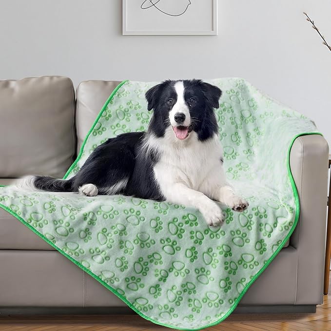 Stuffed Premium Green Soft Dog Blanket, - Image 8
