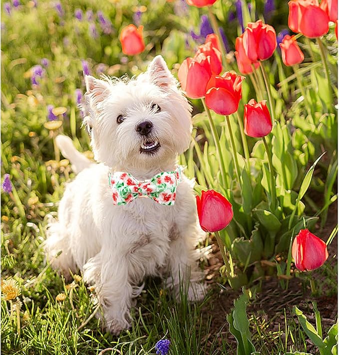 Lionheart glory Dog Collar Bow Collar Floral Dog Collar - Image 5